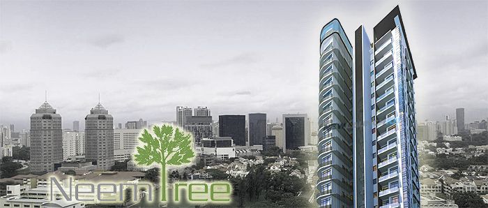 Neem Tree at Balestier Freehold
