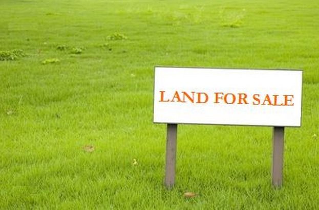 2H 2019 Government Land Sales GLS