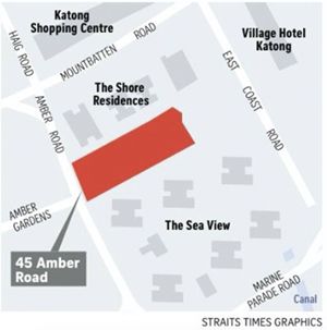 45 Amber Road Site by UOL